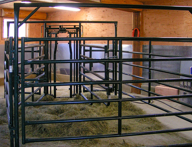 Calving Barn Design Guide » Hi-Hog