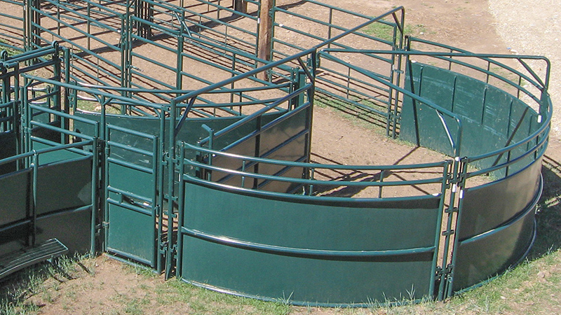 Improve livestock flow with Hi-Hog's cattle sweeps and cattle handling equipment