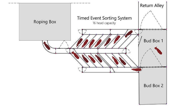 Sample plan of a Hi Hog timed event Sorting Arrow