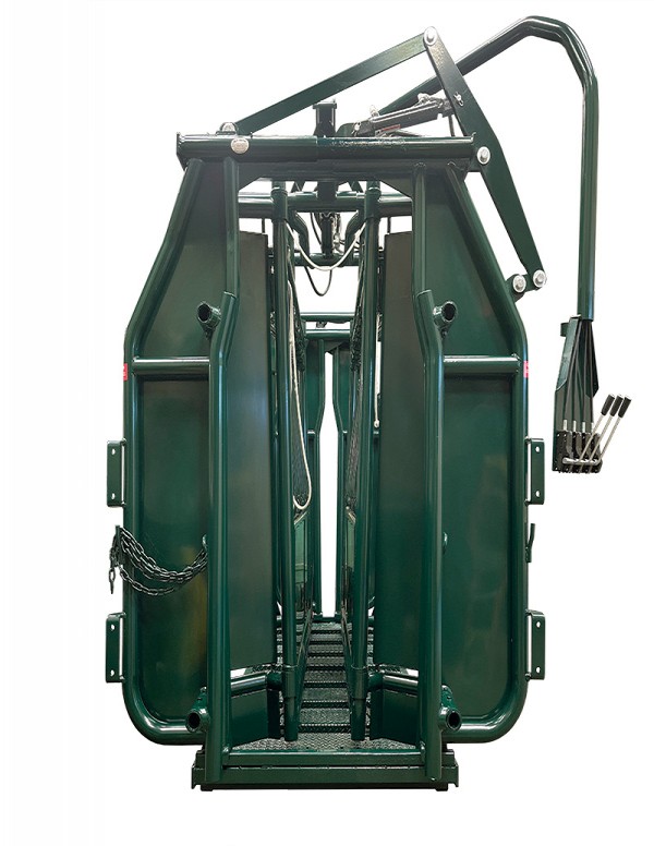 Squeeze Chute for Catching Cattle