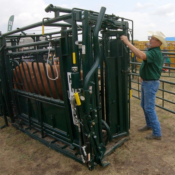A rancher using a Hi-Hog Cattle Squeeze Chute to safely restrain a cow prior to veterinary care.